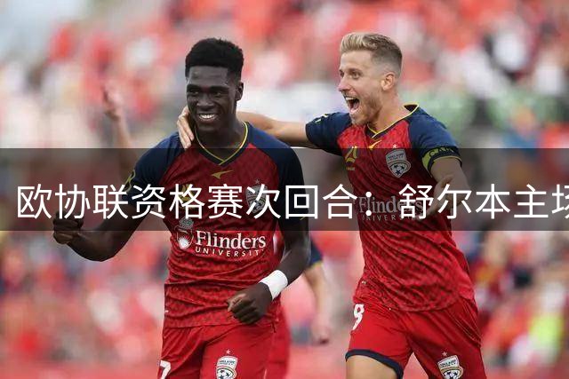欧协联资格赛次回合：舒尔本主场2-2战平阿贾克斯