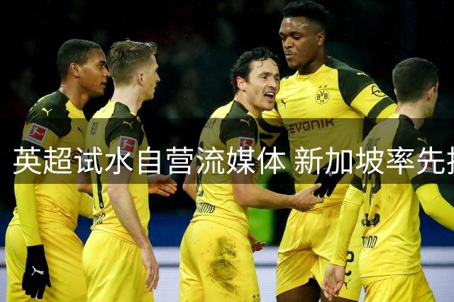 英超试水自营流媒体 新加坡率先推出付费观赛平台